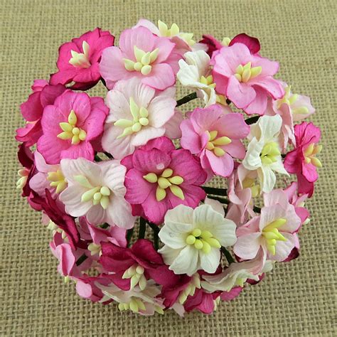 promlee flowers wholesale.